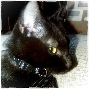 Meet your Posher, Katie